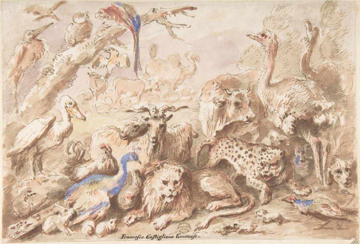 A Congress of Animals, pen and brown ink, brush and watercolor, over traces of black chalk by Giovanni Francesco Castiglione