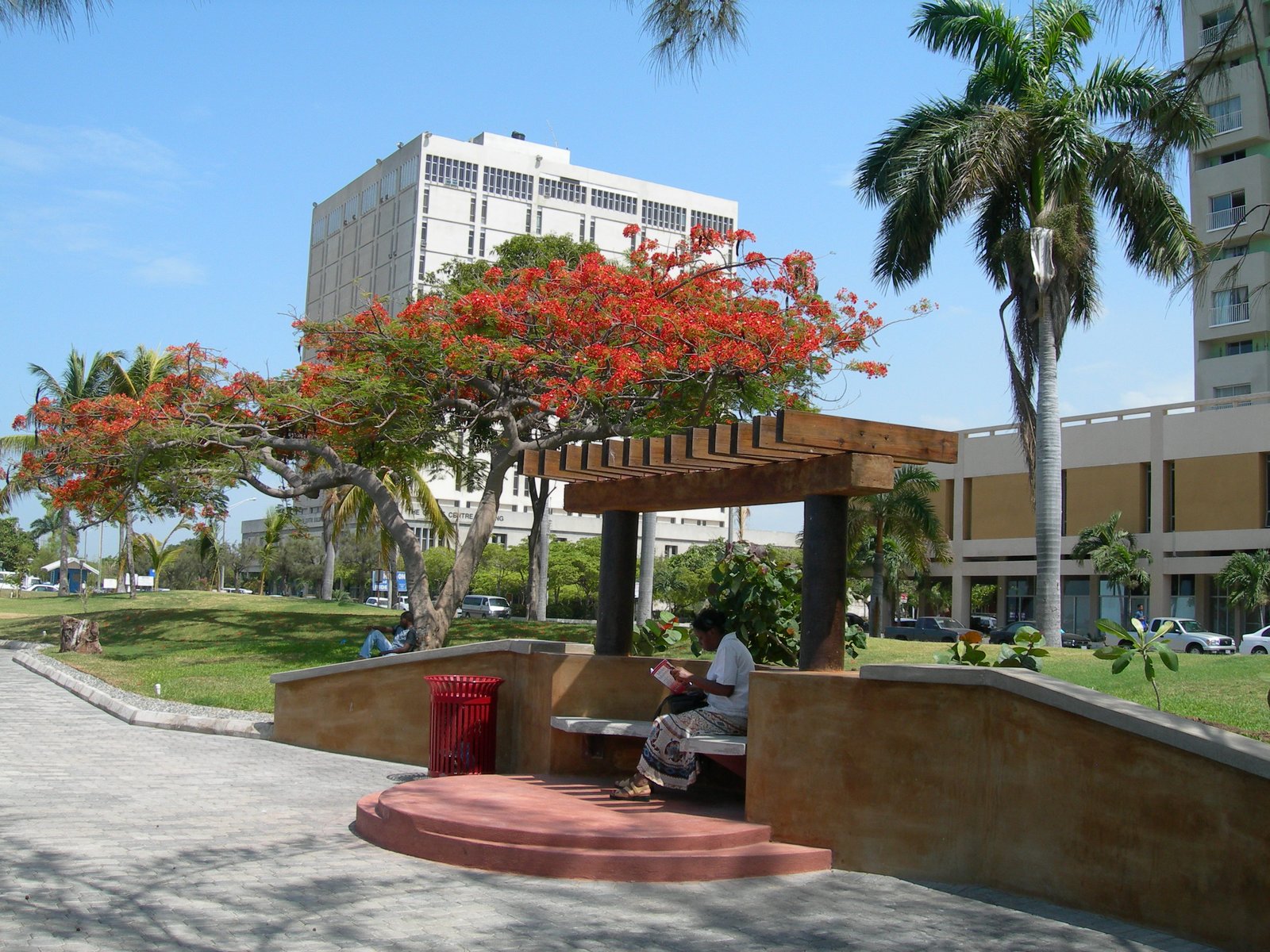 Urban Development Corporation offices behind flowering trees on Kingston's waterfront, Jamaica